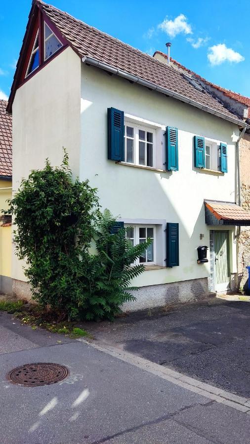 Schoenes Gemuetliches Haus Toplage Freinsheim Kültér fotó