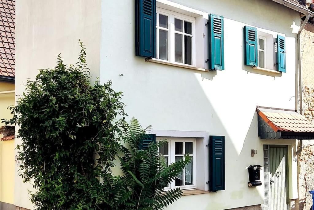 Schoenes Gemuetliches Haus Toplage Freinsheim Kültér fotó